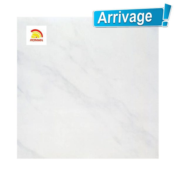 ABITARE CARRARA 40X40 - 6.25pces/m2 - 45 000 Ar HT/m2 -6 pces/ 0.96m2/ 17kg/ carton - 43 200 Ar H.T