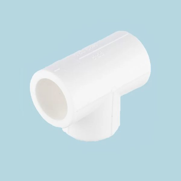 TES EGAUX PPR D.20 PRT01-20