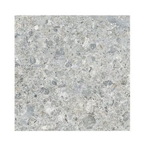 CARREAU GRES CERAM POLI REF HD 79 - 60X60 – 2.78pces/m2 - 47 500.02  Ar HT/m2 - CARTON de 4 pces / 1,44 m2/ 68345.36 - CARTON DE 29 kg