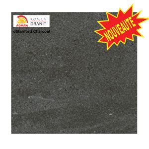 CARREAU GR2-GT602141CR dSTANDFORD CHARCOAL 60X60 RECTIFIE -2.78 pces/m2 - 95 000 Ar TTC/m2 -3pces/1.08m2/26kg/carton - 102 517.98 Ar TTC