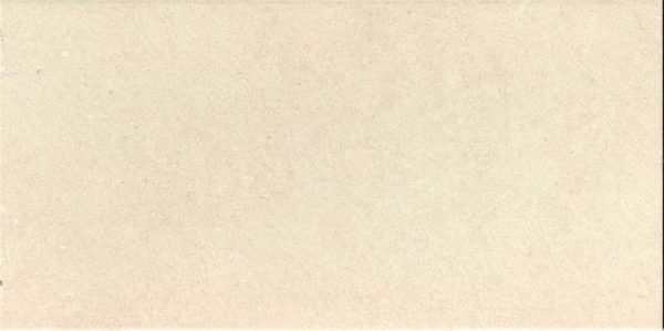 CARREAU WALK BONE 25X50 - 8 pces/m2 - 58 750,00 Ar HT/m2 - CARTON de 13 pces / 95 468,75 Ar HT- Carton