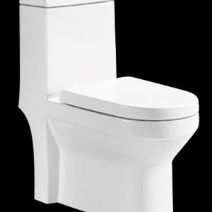 WC MONOBLOC A503 BLANC SH 690X350X805MM