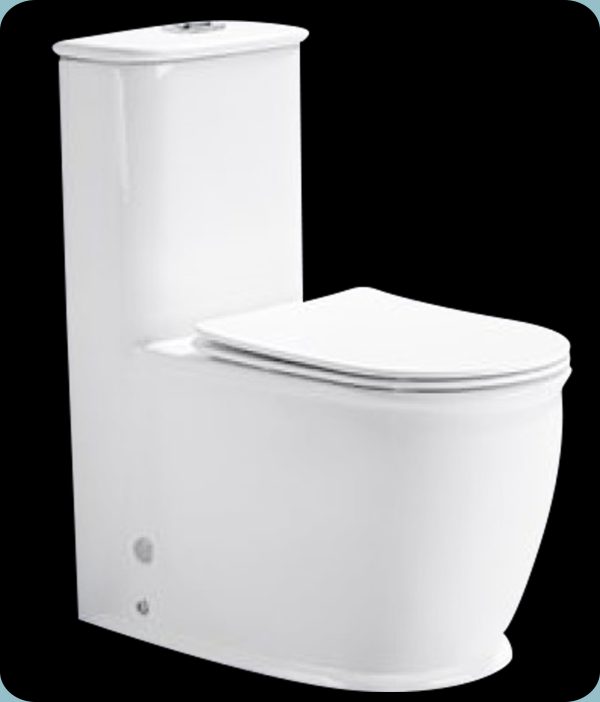WC MONOBLOC A8833 BLANC SH 695X370X828MM