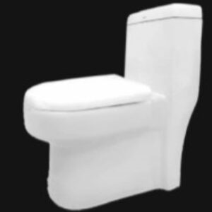 WC MONOBLOC APPLE S.H 655 X 340 X 680mm