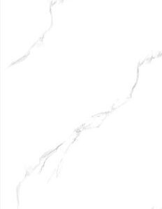 CARREAU GRES CERAM SUPER POLI MSP61017MN 60x120 - 59 500,01 Ar TTC - 1.389 pcs / M2 - 85 673,16 Ar TTC - 2pcs / CARTON