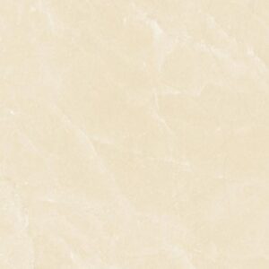 CARREAU GRES CERAM POLI MSP66009M 60X60  2.78pces/m2 - 49 500 Ar TTC/m2 - CARTON de 4 pces / 1,44 m2 / 71 223,04 ar carton