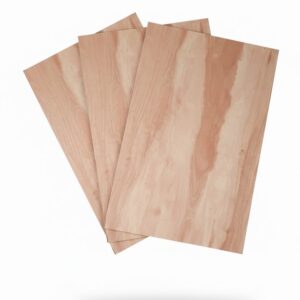 CONTREPLAQUE 1220X2440X12MM