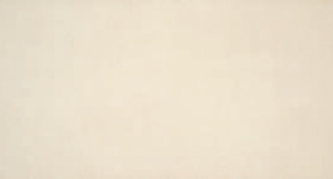CARREAU  LARDENNE CREMA SAT 25X50 - 8 pces/m2 - 70 500.00 Ar TTC/m2 - 13 pcs - 114 562.50 Ar TTC/carton